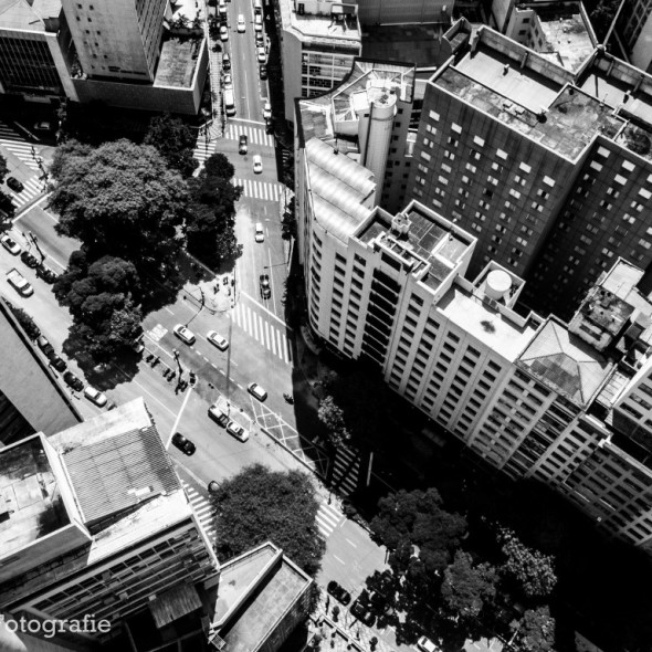 Sao Paolo-8 (Medium)